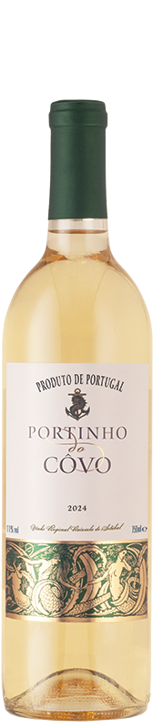 Portinho do Côvo Branco