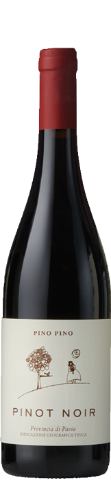 Pino Pino 2019 Pino Pino 2019