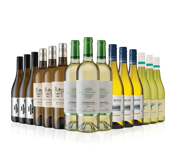 Sauv Blanc Day Case + Trio