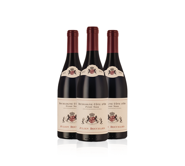 Julien Bouchard Bourgogne Pinot Noir 2022 Trio