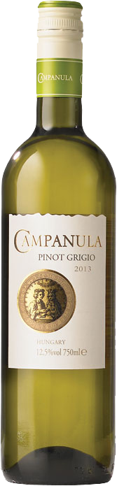 Campanula Pinot Grigio