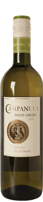 Campanula Pinot Grigio