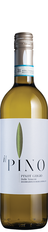 Il Pino Pinot Grigio Il Pino Pinot Grigio