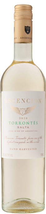 Ascencion Torrontés 2020