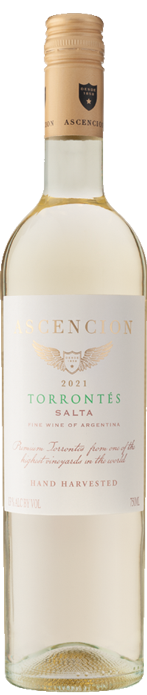 Ascencion Torrontés 2021 Ascencion Torrontés 2021