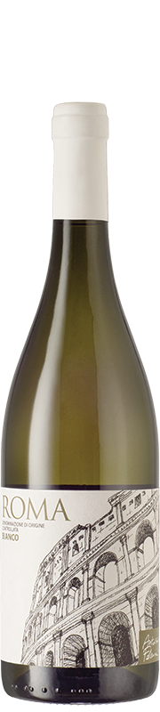 Antonio Federici Bianco Roma