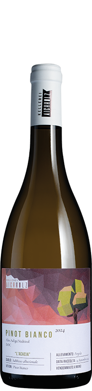 Kellerei Aichholz Pinot Bianco